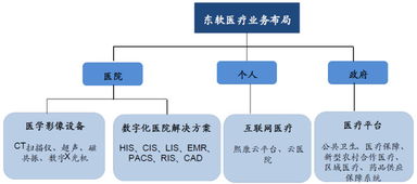 東軟集團 深耕醫療信息化，構建“三駕馬車”驅動的數字未來