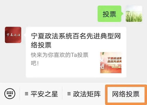 寧夏政法系統百名先進典型網絡投票活動正式啟動，誠邀公眾踴躍參與